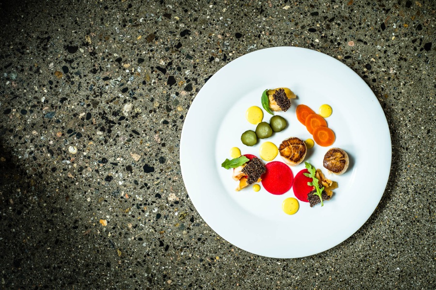Pan seared scallops